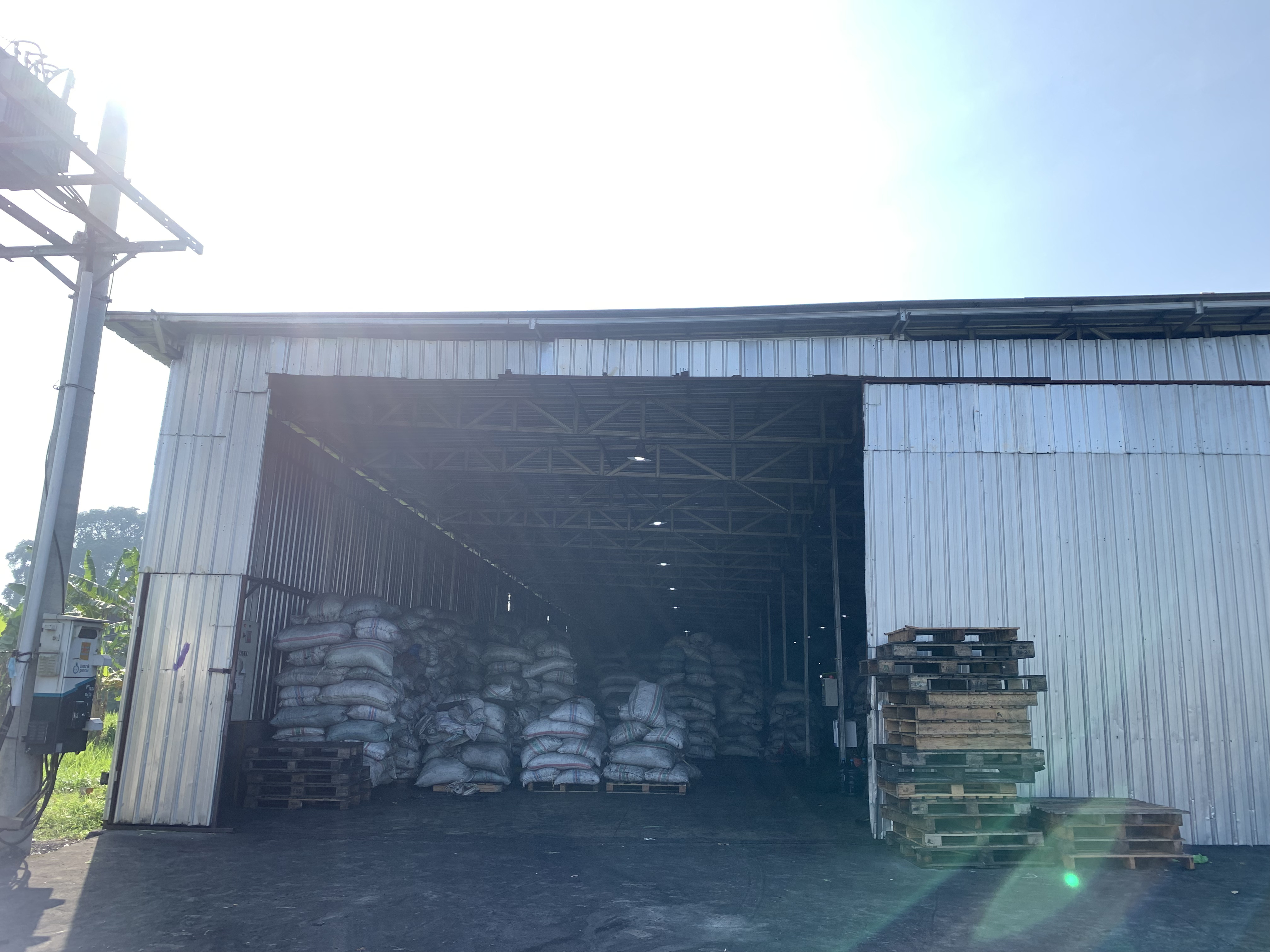 Factory & Export Activity 5