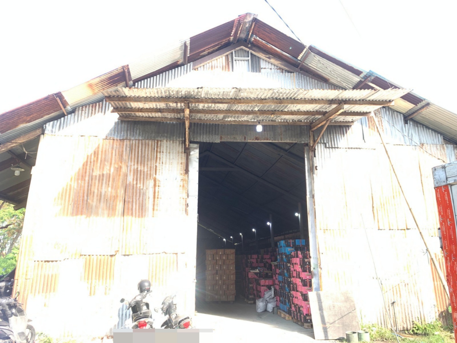 Factory & Export Activity 19
